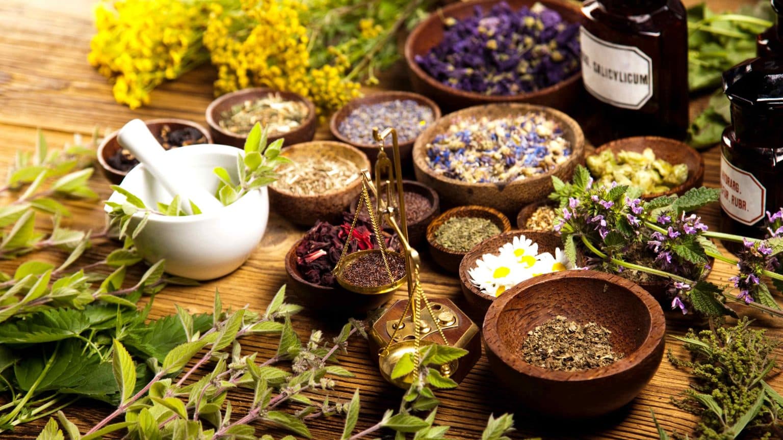 Top 10 Herbs for Boosting Immunity Naturally